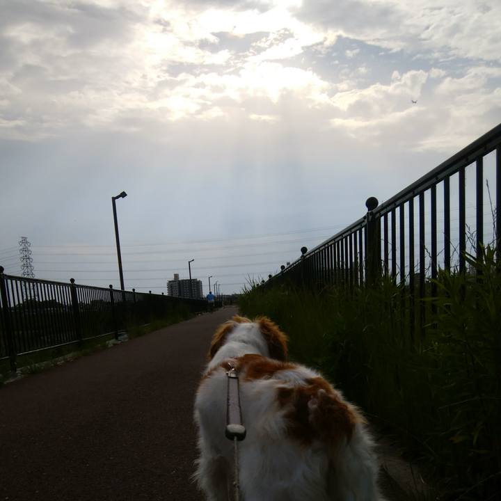 20a05e33 73a2 4764 9d04 90579f977a92 1526469669754