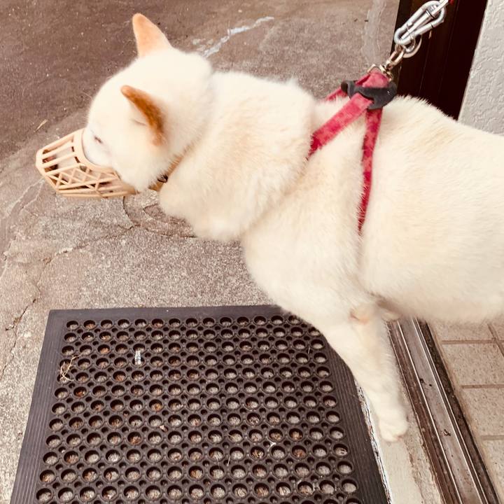 20a06c6e 5533 42bb b0ea 586e8b6d719c 1592685292656