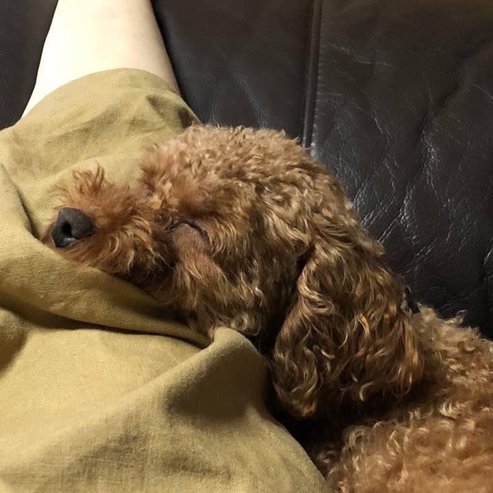 20a06ce4 5513 4eb8 8b71 4a12e450e810 1531663098208