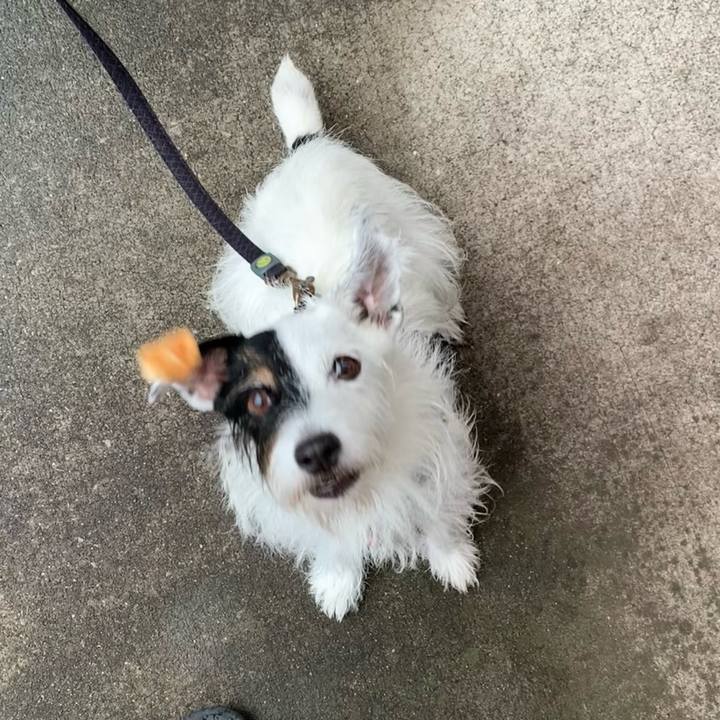 20a0a60e 6c60 4be0 acad 724172d191ff 1695337445028