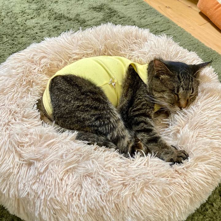 20a0ac30 ebff 4aa2 8c41 b6becf080146 1685450446491