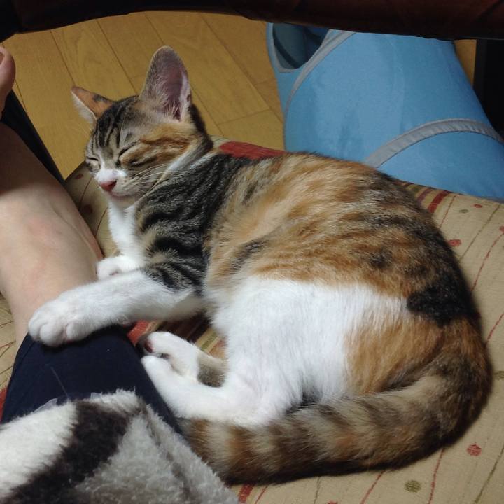 20a0afc5 62c4 42f1 9461 c40042e44b9d 1628681542307