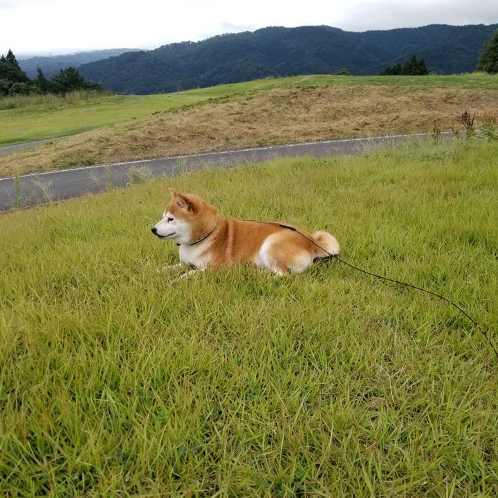 20a0c4f5 5460 44f4 b571 b59c6a642bc6 1600154746948