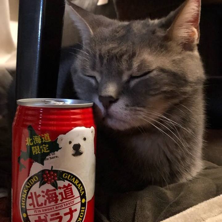 20a0fcaf 4620 4797 a4ff 257fb6cb5125 1555597655236