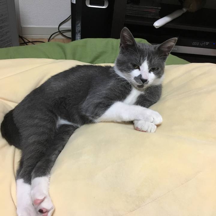 20a10946 b019 4a74 94a9 5640669e8a0c 1519829441021