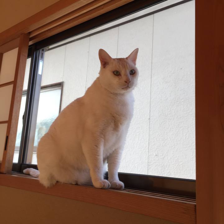 20a10dd2 2b08 493e b38e f764916fbdc0 1542583053190