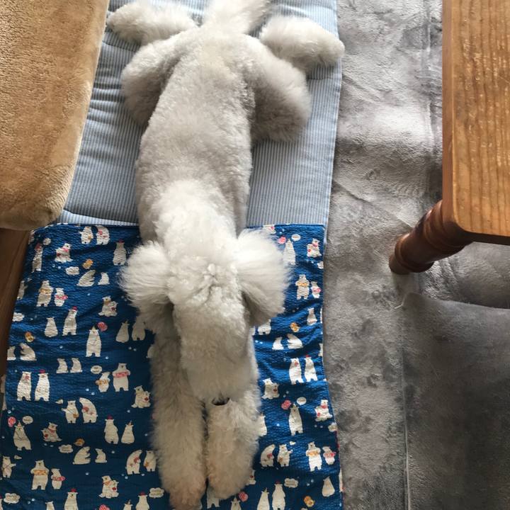 20a1255c 7074 4cd0 b84d 20432a2eb00e 1638677812143