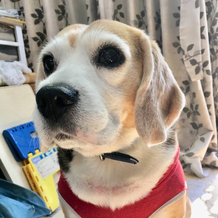 20a13671 8fa6 48d8 b232 1b85a6941b9f 1541134990141