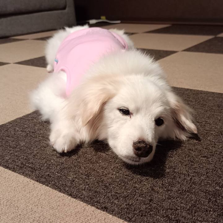 20a14b33 73ad 401d b15a 198c7072fd86 1757709439866