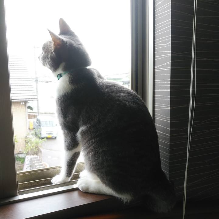 20a2263b 7d82 4ca7 b5eb 2a4af94c9c9d 1588545340413