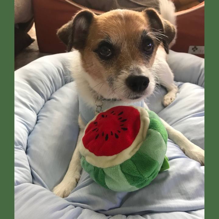 20a230b0 0c09 4c9e 9221 e72ffea8add3 1532384939681