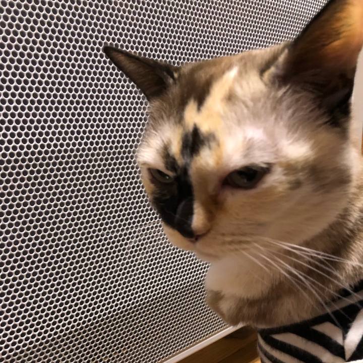 20a24163 a56b 4b35 9240 dcf2cf513500 1672154806777