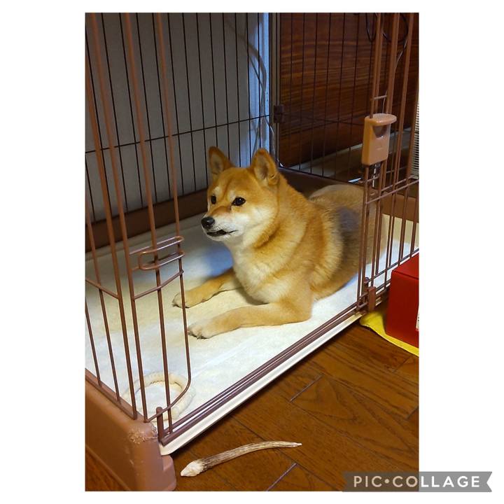 20a27ec4 5cb0 428b 9042 943e361b2f72 1687258624277