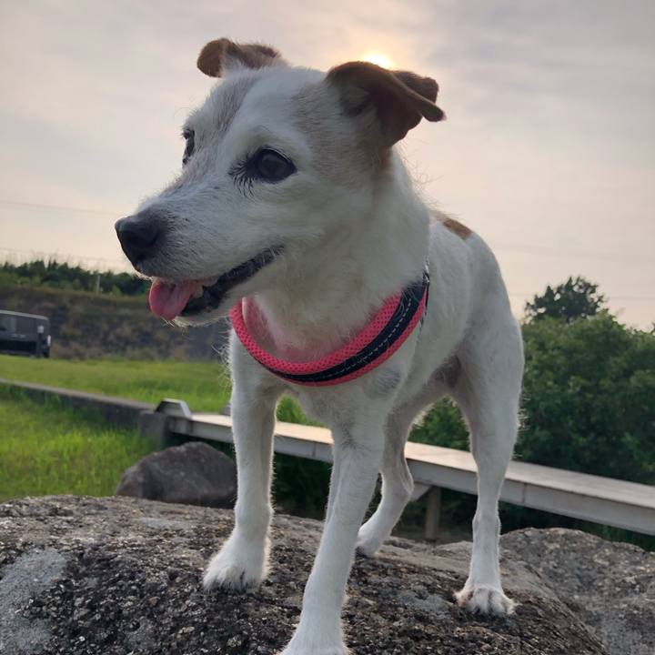 20a2a4c1 1e08 4fd7 91ea 62c6496190c6 1596793250944