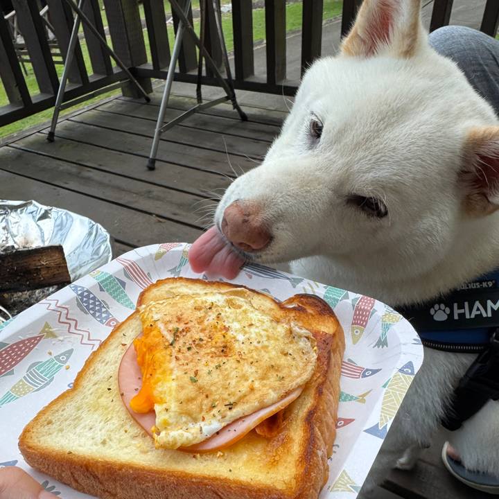 20a2b935 57a7 4582 9c47 e2d03c65e940 1752880406544