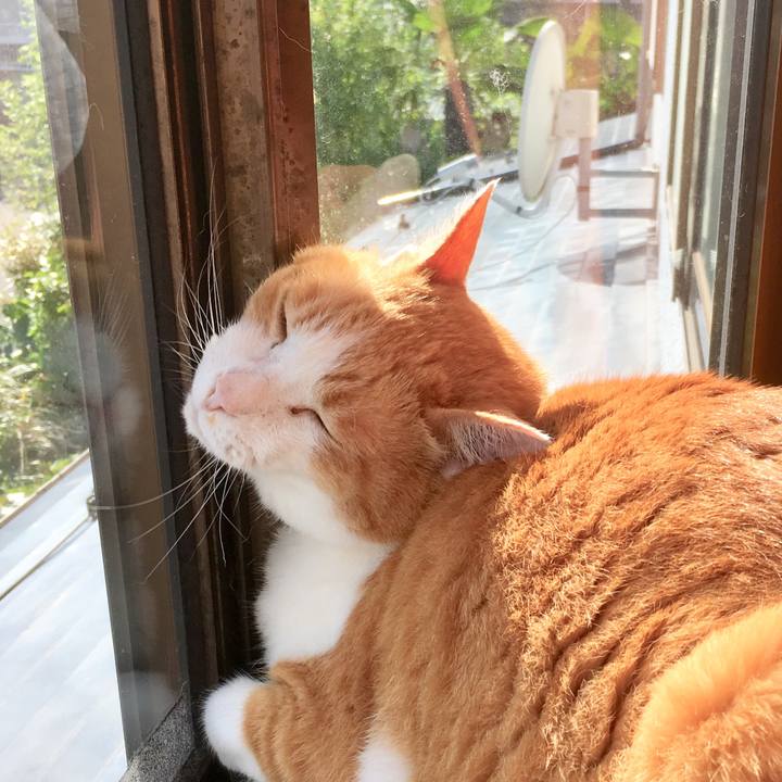 20a2c2ee c0be 41c9 89f1 b66bc76b53c9 1560913368779