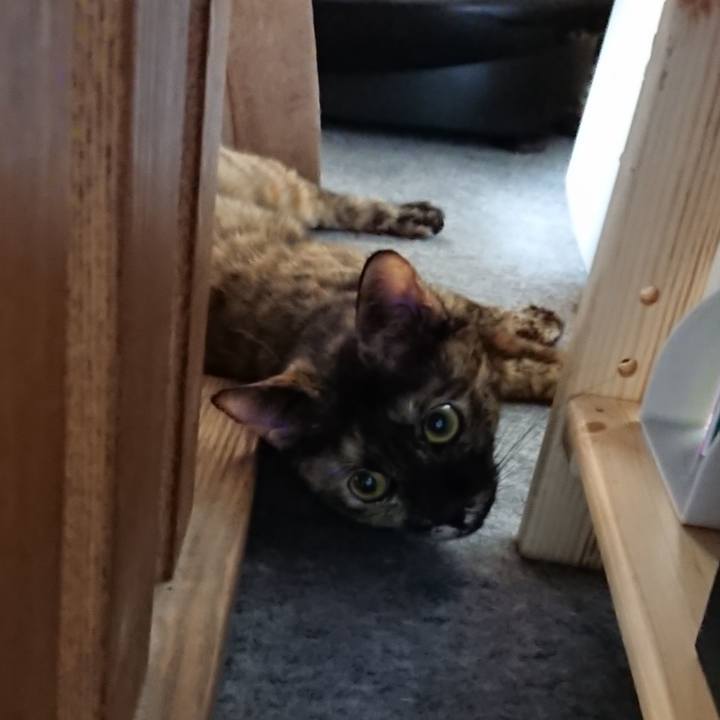 20a2d006 9d3c 49b9 9de6 eaafd282e46d 1577020540049