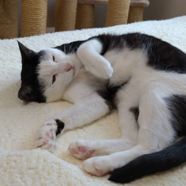 20a2dbaf d198 40b2 805f 6534b9efa693 1595141504427