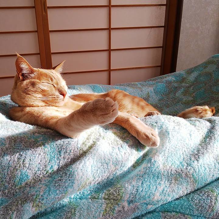 20a2f525 60c1 46c7 87b0 2e7fb69574c8 1609548293658