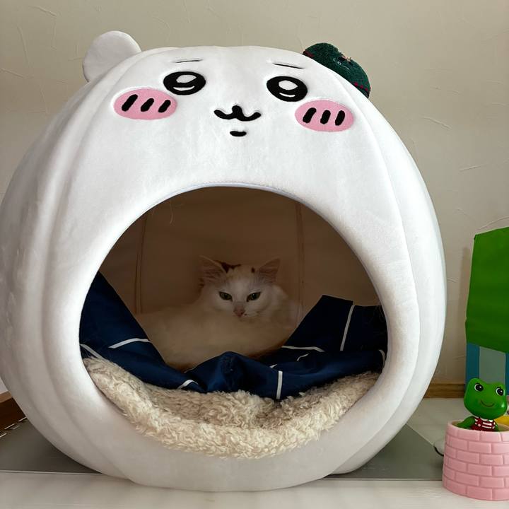 20a2fc04 62e2 4ca8 92b7 b14419038a8a 1773452170189