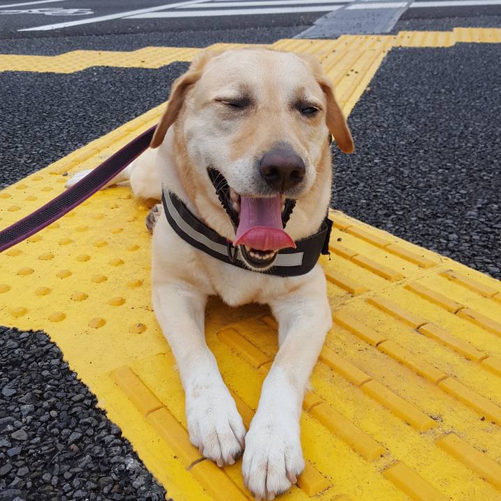 20a30663 2eaf 42f7 89b9 eaf4be738355 1563616530688