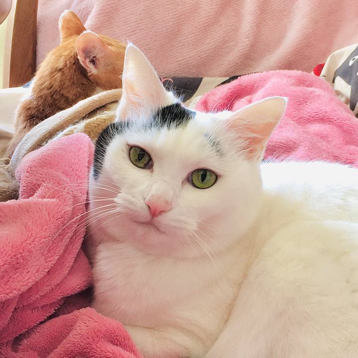 20a30947 be59 49c0 a44b 88079ce76f37 1574321646529