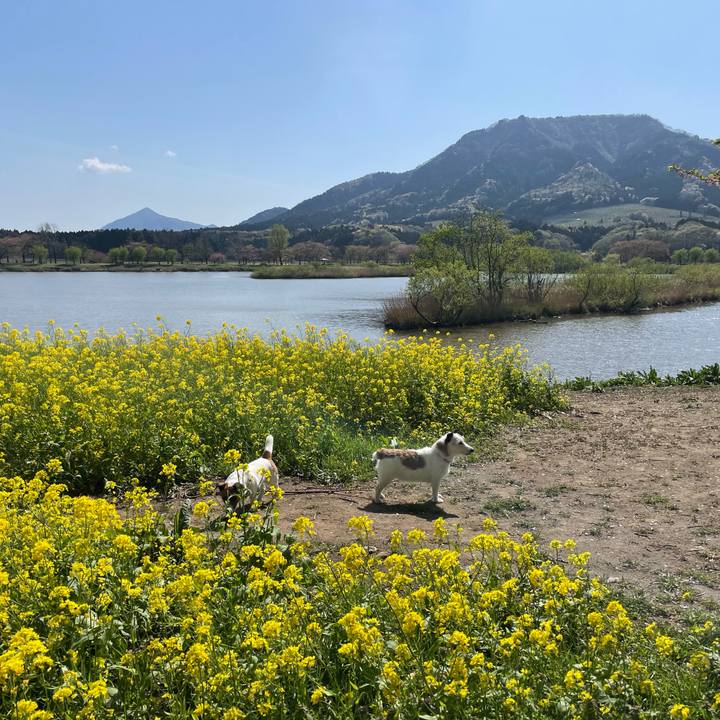 20a33156 7fab 4b24 a49b 35b228e868ef 1745222162380