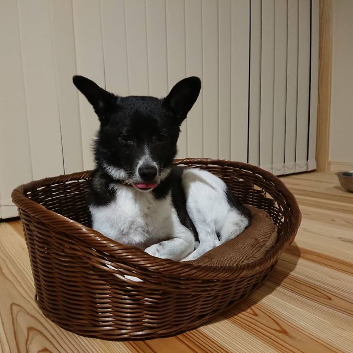 20a39ef1 a71a 4ea2 b7e5 eddc28c4a213 1562936780954