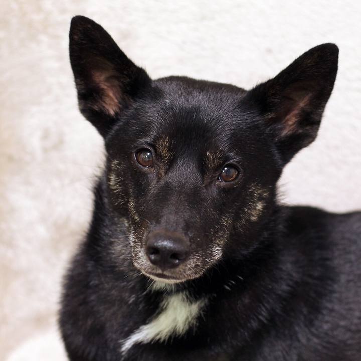 20a39fd3 3cff 4c92 a9a6 6bf3ba071efa 1538749112339