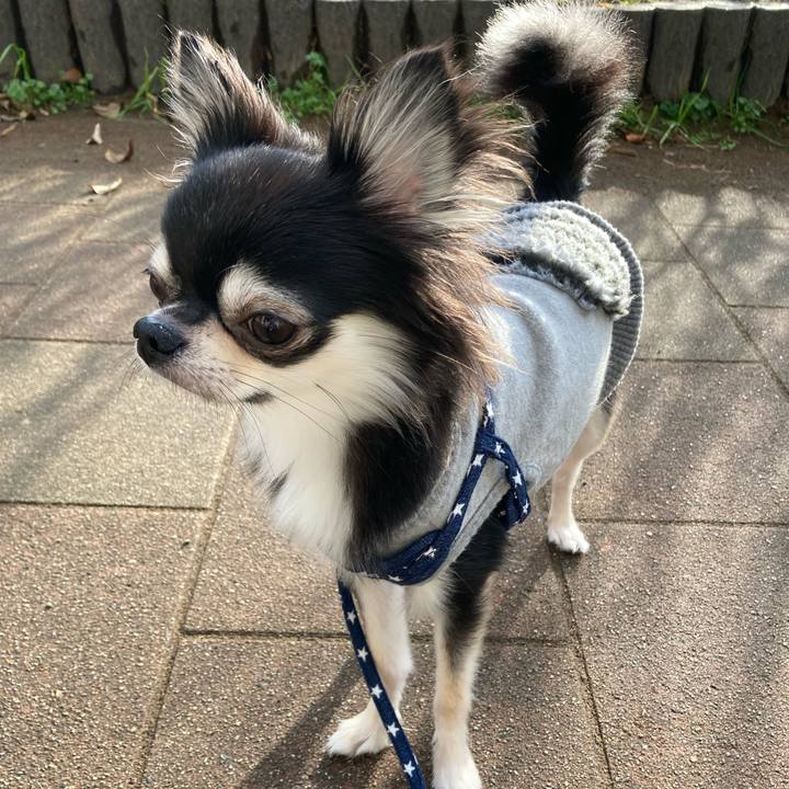 20a3b23c 7961 4d2f 9bc7 434f1cf65d76 1640411831322