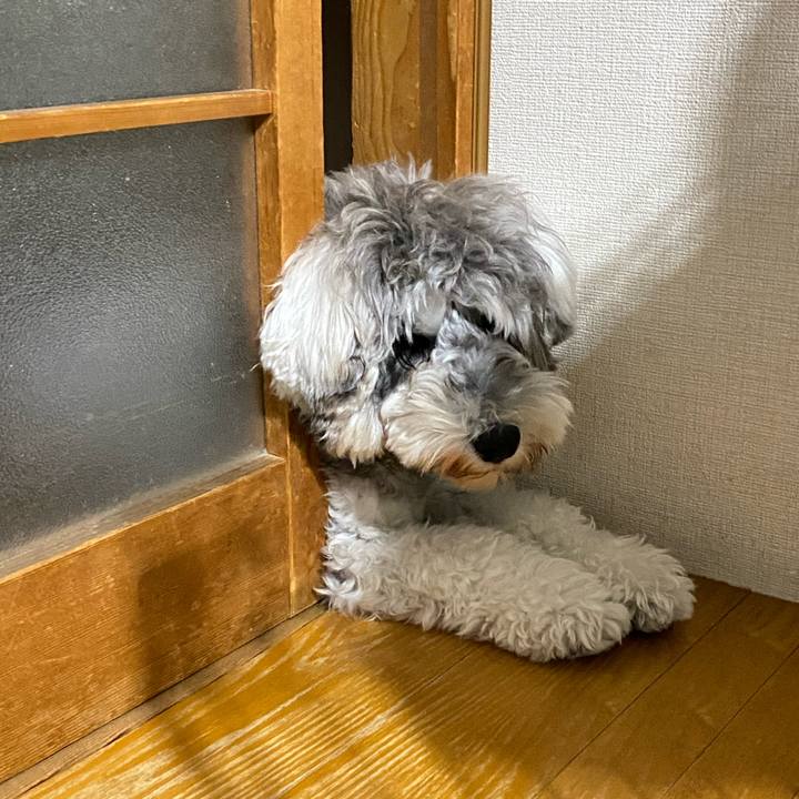 20a3b986 948e 4075 b874 0e46201ed1e9 1605808606070