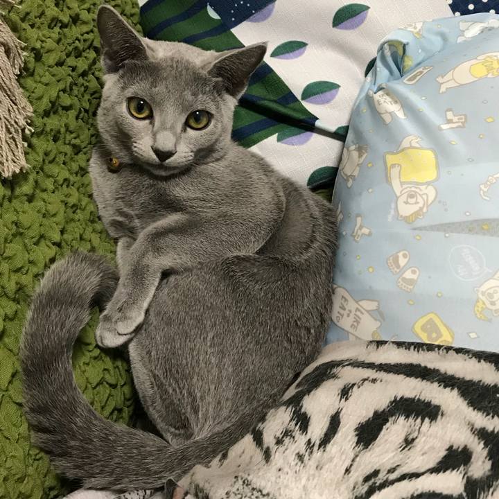 20a3c31c afb8 4a90 9d00 2faa60654209 1509061641350