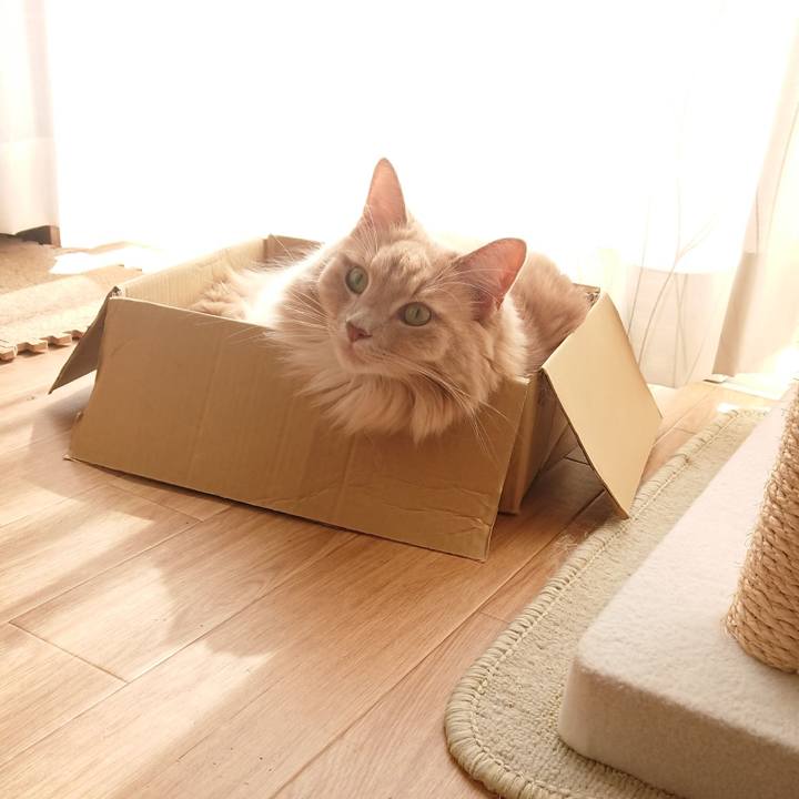 20a3c6f2 d3ab 4f79 a2ee e9acb889365b 1537245816559