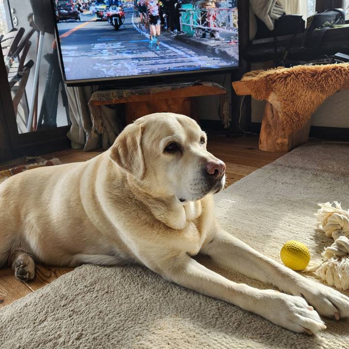 20a3e4f3 7889 408f 81de cb5acc7c2977 1767670780635