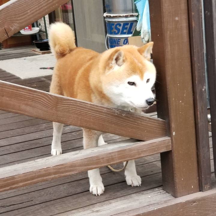 20a40cf4 5e6e 4867 985c 8aaad5bd66f9 1622712824384