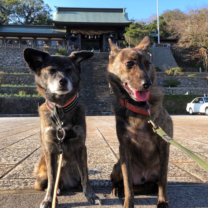 20a415ae eb77 4667 904a e9328a768082 1606261938525