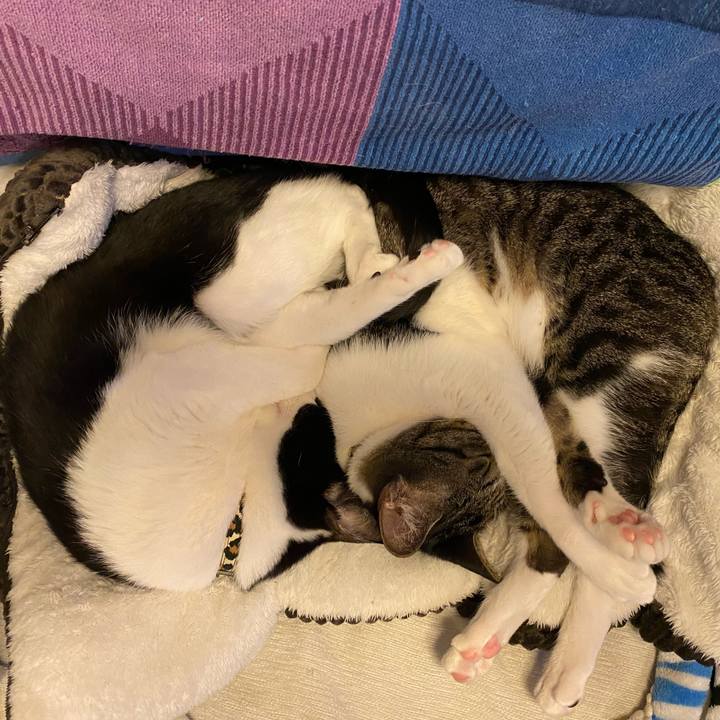 20a41ce4 2030 4d2d 9fa2 13c39fe48796 1746572190074