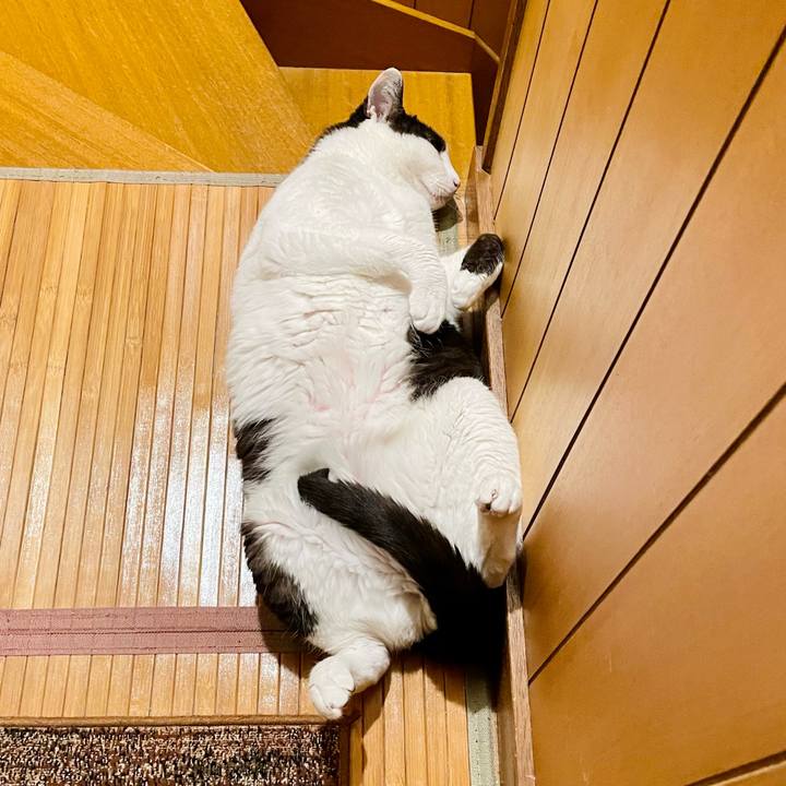 20a42007 a05a 4abd b213 bff510df7049 1655861825191