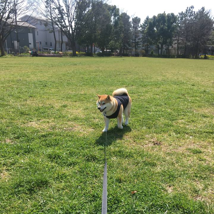 20a440ea 21ec 46ee 915b f97ba621be97 1552626518686