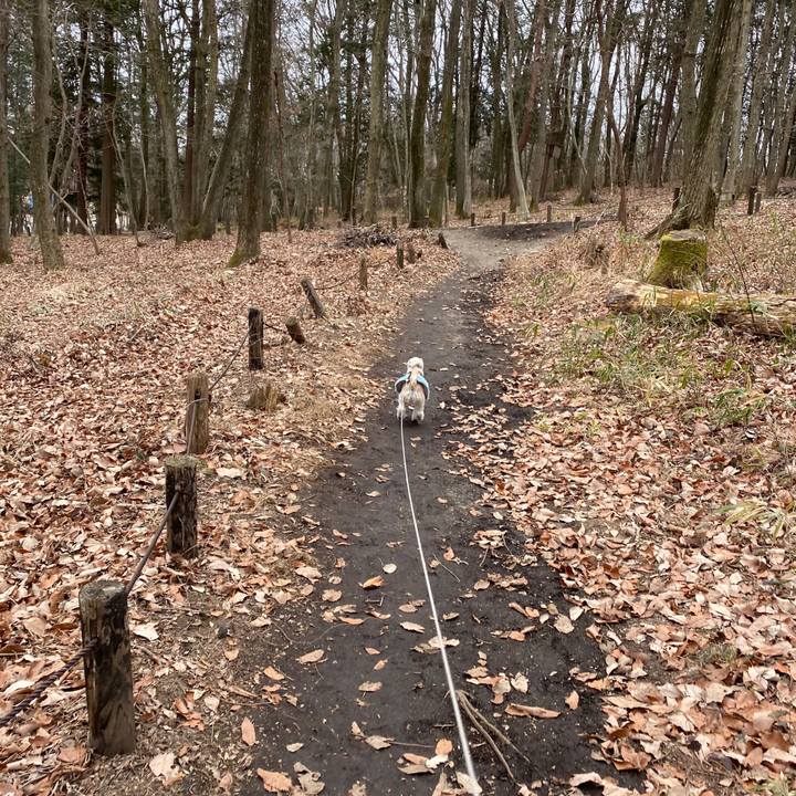 20a44a36 ec7b 4f48 9d61 14a5d792f73c 1580112412425