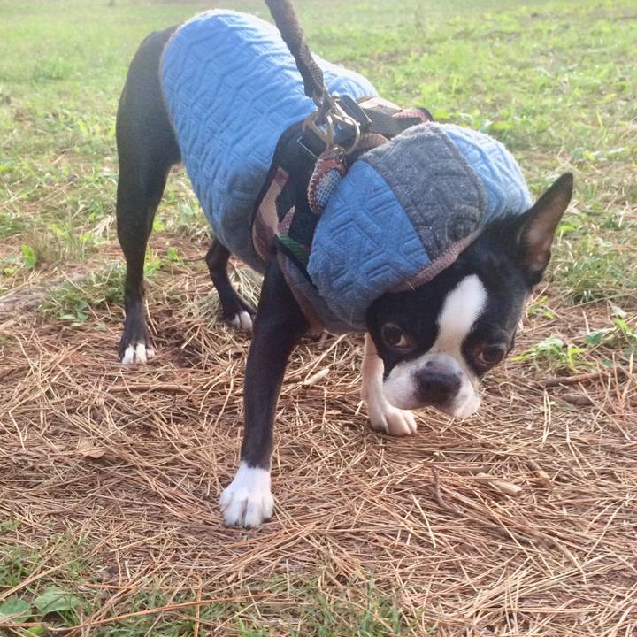 20a45e23 2ffd 4449 8ff2 b856bd2ac431 1510563053426