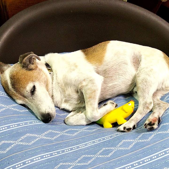 20a4612a d764 4c84 801a d6d17e15cb8d 1595856061697