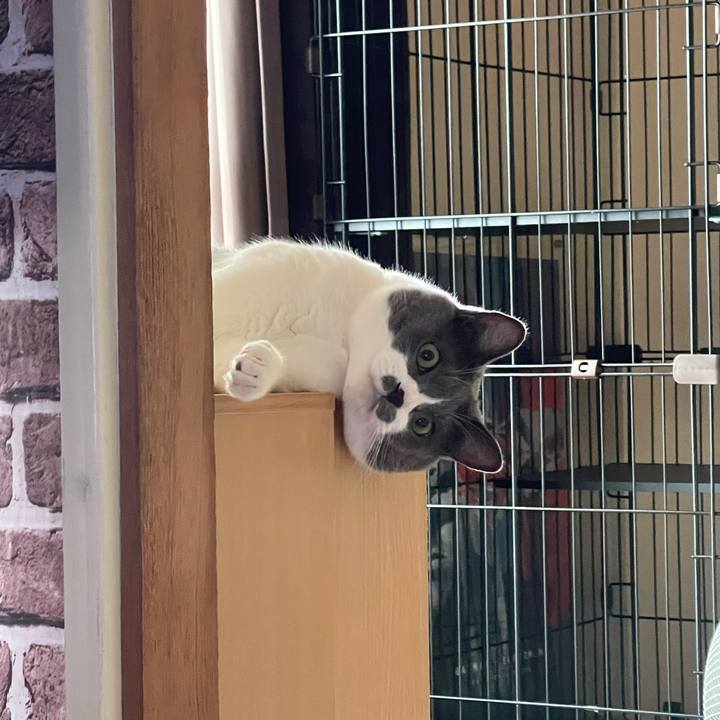 20a4aa44 209b 48aa 84f6 ea8944ea1571 1691102666477