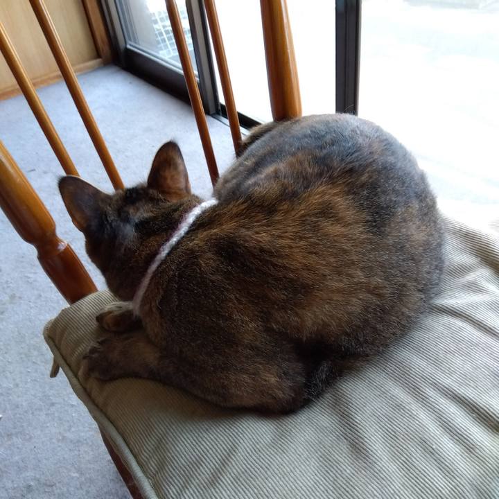 20a4d5a3 bd1a 42dc 8e3f aba0dc800c9e 1660203934242