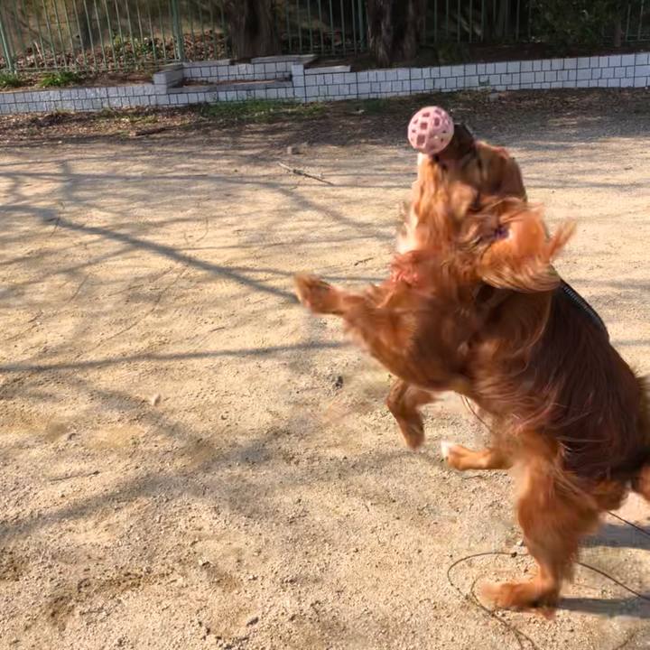 20a52cd5 6398 4e0d af70 7d21ce0e80b6 1584363926573