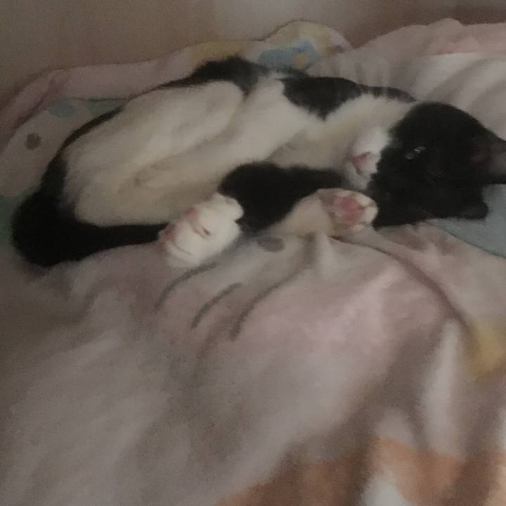 20a52e1e 9c62 41bc 9e6b 65a81468d5da 1556157310371