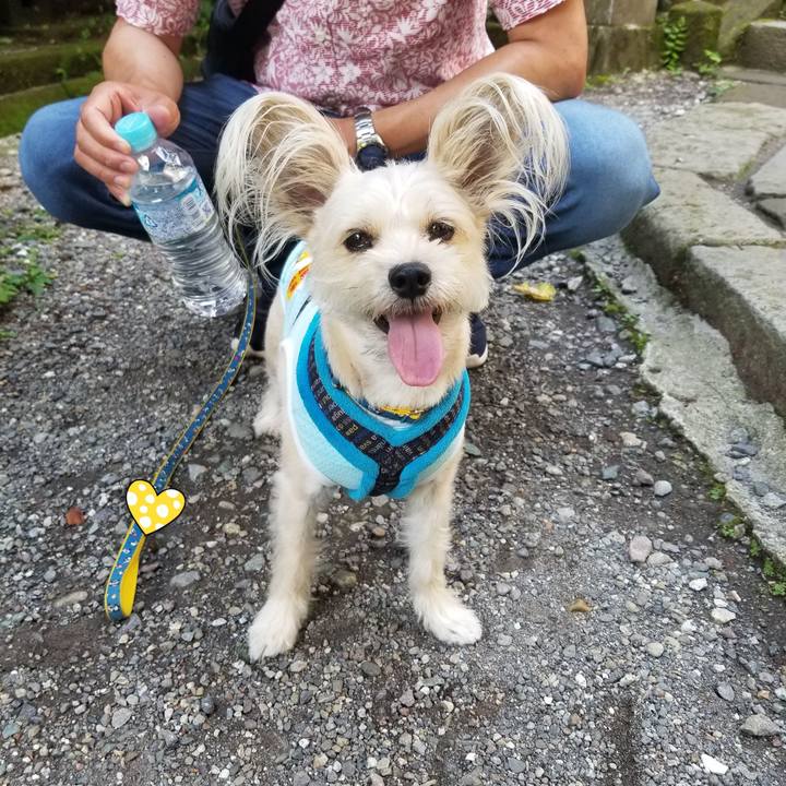 20a5694c 841d 4ce0 9df4 e8b90565ef3b 1531657889566