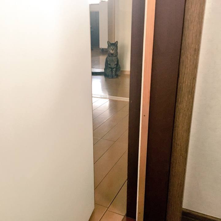 20a56f67 c0e9 4adc 9d9c 893d4ae2939e 1526515976834