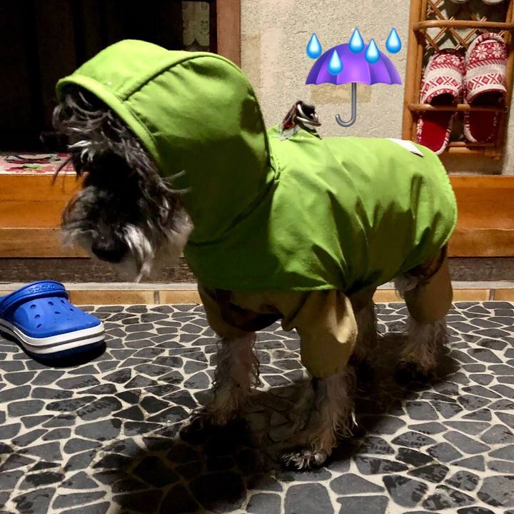 20a5d1b1 ccb8 4656 b4a4 40350556a70f 1706794430593