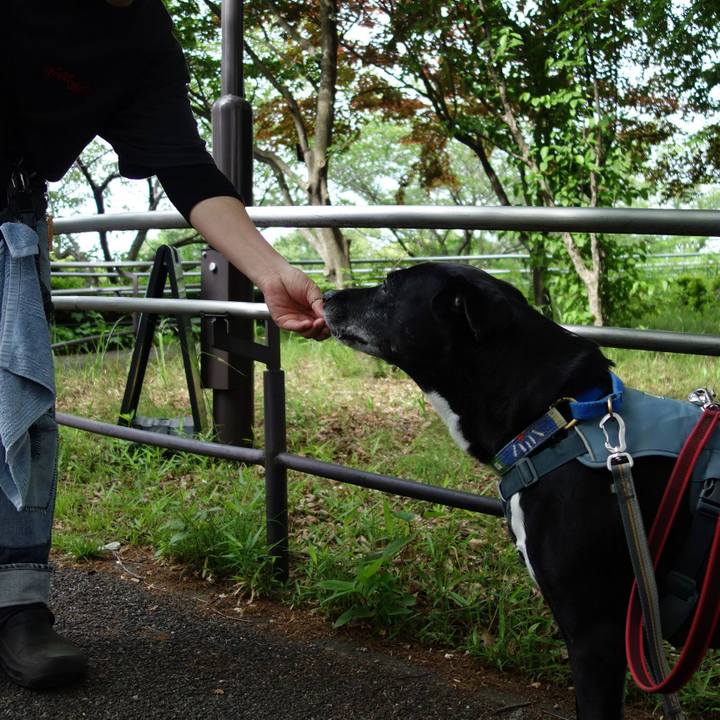 20a5ea8e dc8c 4408 bf59 8c55f8776669 1715475387874